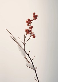 Poszter 67,5x95cm A tél finom ereje