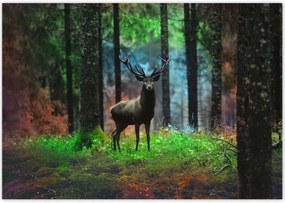 Poszterek 100x70 Szarvas a mesés erdőben