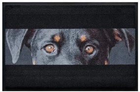 Állatos prémium lábtörlő - fekete kutya (Válassz méretet: 60*40 cm)