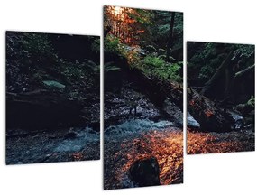 Hegyi folyó képe (90x60 cm)