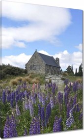 Vászonkép 70x100 Lila virágok domb