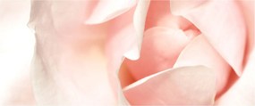 Kép - Rózsák (120x50 cm)