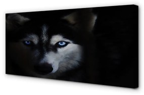 Canvas képek farkas szemet 125x50 cm
