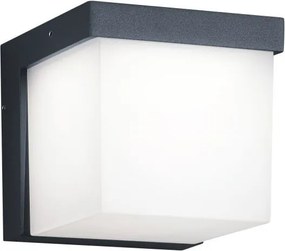 TRIO 228260142 YANGTZE Modern Kültéri Fali Lámpa Antracit LED IP44