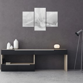 Kép - Tollak (90x60 cm)