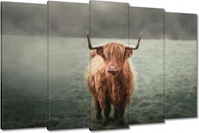 Képek 150x95 Mint a szarvak Hegyi rét