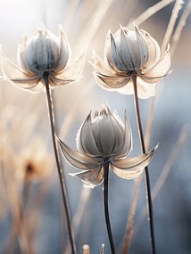 Poszter 15x20cm Költői ősz