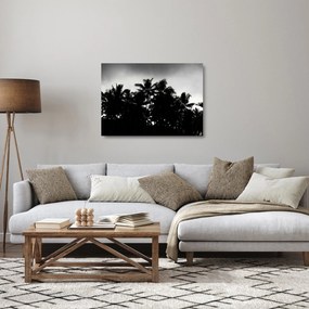 A fekete-fehér pálmafák képe (üvegen) (70x50 cm)