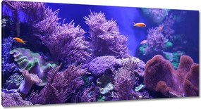 Vászonkép 115x55 Víz alatti tengeri világ