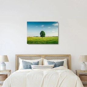Egy fa képe egy rét közepén (üvegen) (70x50 cm)