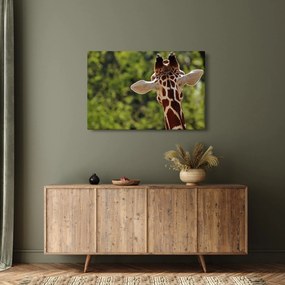 A zsiráf képe hátulról (90x60 cm)