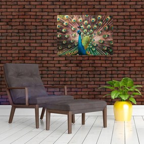 Üveg kép - Páva (70x50 cm)