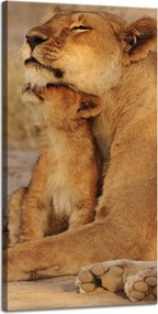 Vászonkép Oroszlán és oroszlánkölyök szavanna Natura 40x80 cm Ideális ajándék
