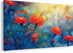 Kép - Narancssárga virágok (90x60 cm)