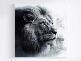 Poszter A Dzsungel Királya Oroszlán Fekete-fehér Portré 80x80