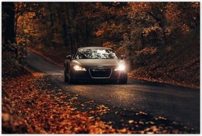 Poszterek 120x80 Audi Őszi tájkép