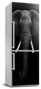 Matrica hűtőre Afrikai elefánt FridgeStick-70x190-f-49228540