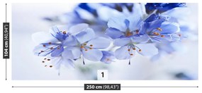 Fotótapéta kék virágok 104x70 cm