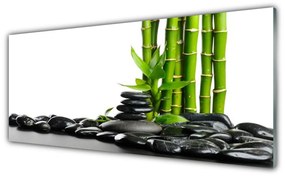 Fali üvegkép Bamboo gyönyörű grafika 125x50 cm