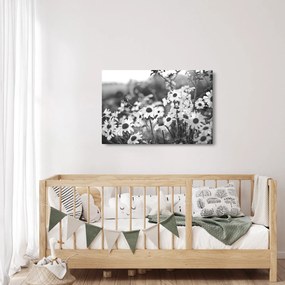 Kép - Százszorszépek (90x60 cm)