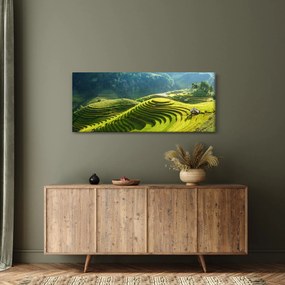 Kép - Rice Terraces koncert (120x50 cm)