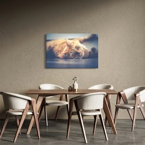 Egy kép a macskáról a padlón (90x60 cm)