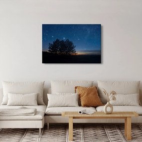 A fák éjjel képe (90x60 cm)