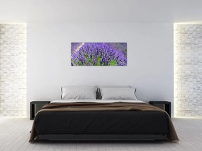 Kép - levandula (120x50 cm)