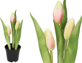 Tulipán Csokor Tulipán Gumi Virágok, Mint Az Élő