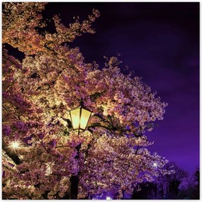 Poszterek 140x140 Ăjszakai motĂvum a nappaliba