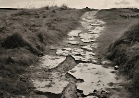 Poszter 29,7x21cm Memóriaút a dűnék között