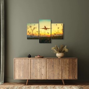 Repülő repülőgép képe (90x60 cm)
