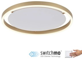 ZUMA LINE 15391-60 RITUS Kerek Mennyezeti Lámpa Sárgaréz LED IP20