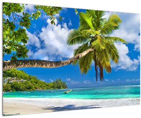 Kép - Seychelle-szigetek (90x60 cm)