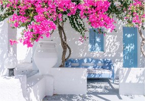 Flizelin fotótapéta Bugenwilla Provence Boho Minimalizmus 254x184 +ragasztó