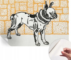 Fotótapéta Dekoratív Fali Tapéta Képekkel Kutya Retro 104x70 cm