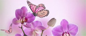 Kép - Pillangó orchidea virágon, lila (120x50 cm)