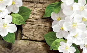 Flizelin fotótapéta Fehér virágok a fán természet tavasz 200x140 +ragasztó