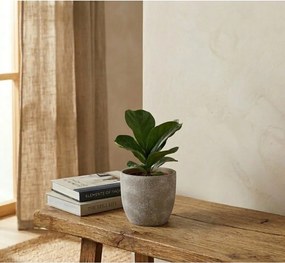 Terrakotta virágcserép ø 16,5 cm Hector – Bizzotto