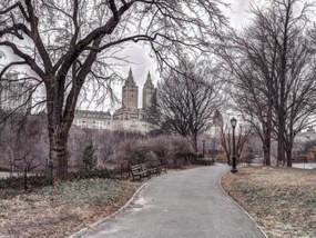 Poszter 40x30cm Ösvény a központi parkon át 2, Assaf Frank