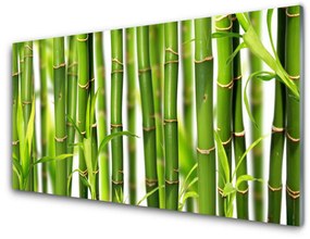 Üvegkép falra Bambuszrügy bambusz levelek 100x50 cm