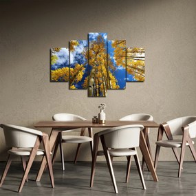 Kép - Aspen (150x105 cm)
