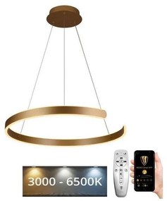 NEDES LED dimmelhető csillár zsinóron LED/70W/230V 3000-6500K + távirányítás ND3476