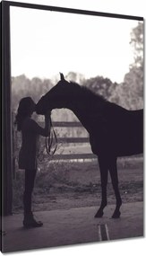 Vászonkép 80x120 Ló Lovak Lovaglás