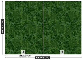 Fotótapéta trópusi növények 104x70 cm