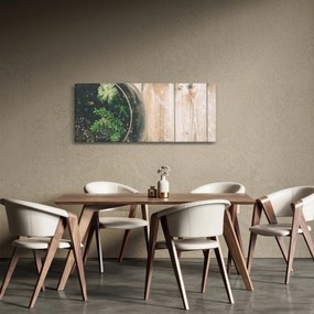 A pozsgás növények képe üvegben (120x50 cm)