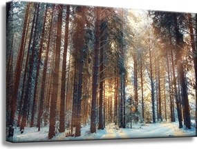 Vászonkép Erdő Tél Hó Fehér Természet 60x40 cm Ideális ajándék