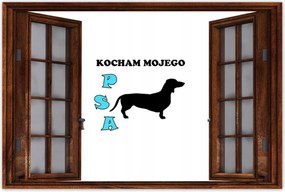 PlakĂĄtok 90x60 tacskĂł