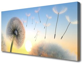 Vászonkép falra Dandelion Flower Plant 100x50 cm