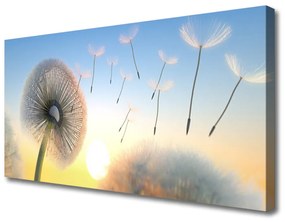 Vászonkép falra Dandelion Flower Plant 120x60 cm